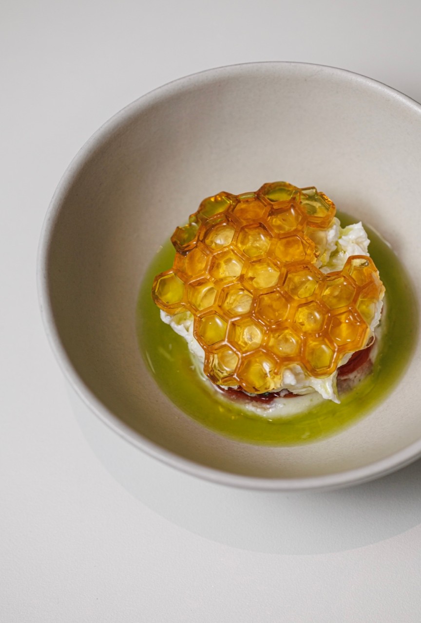 아웃트로바이비토 이미지 1