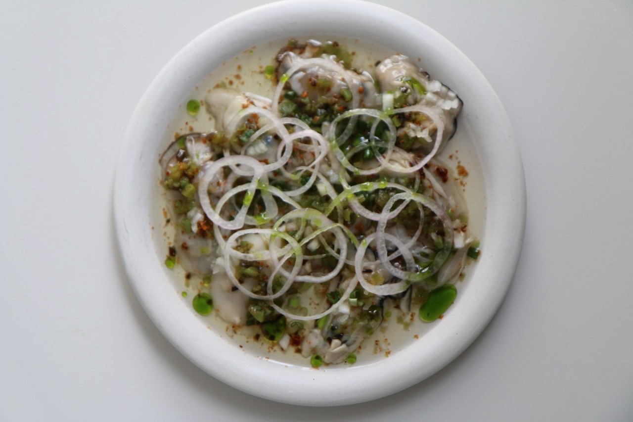 아웃트로바이비토 이미지 4