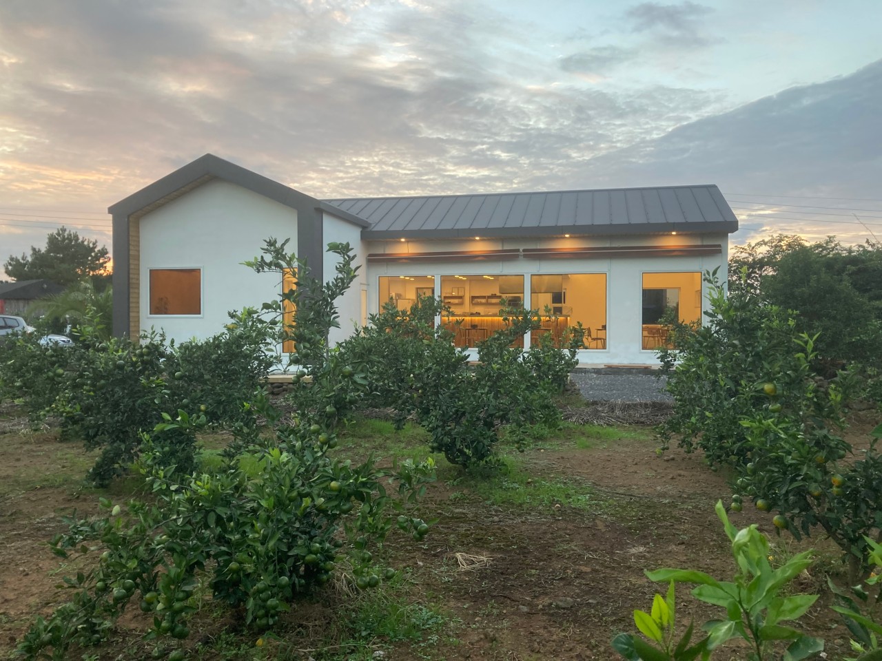 데미안 이미지 5