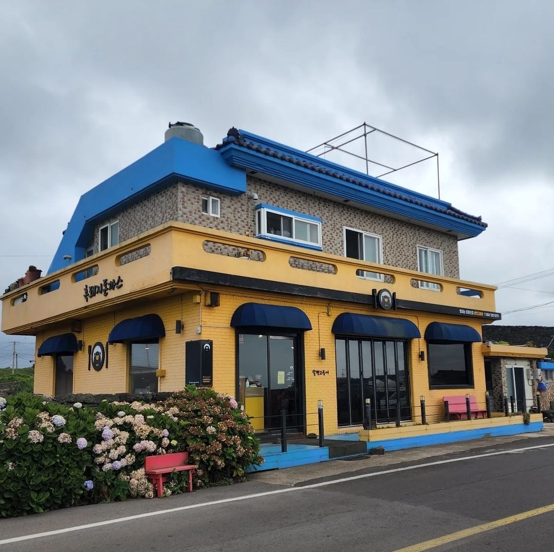 살찐고등어 이미지 7