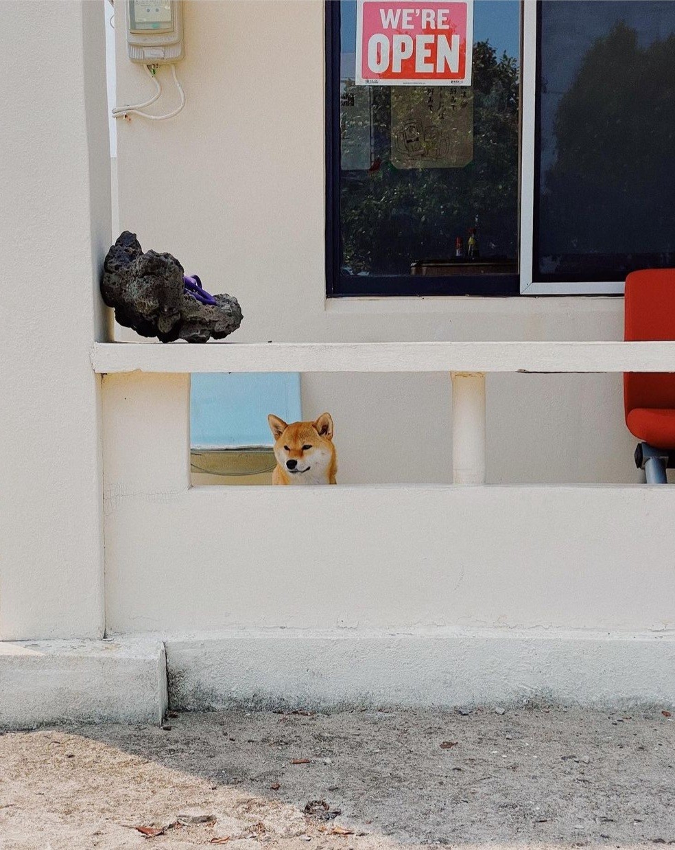 슌식당 이미지 7