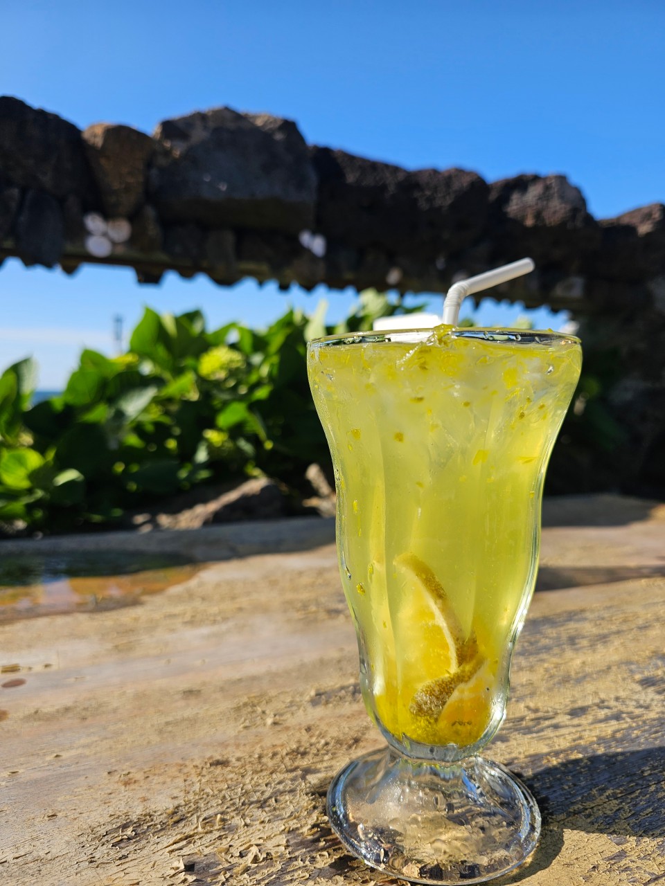 살찐고등어 이미지 6