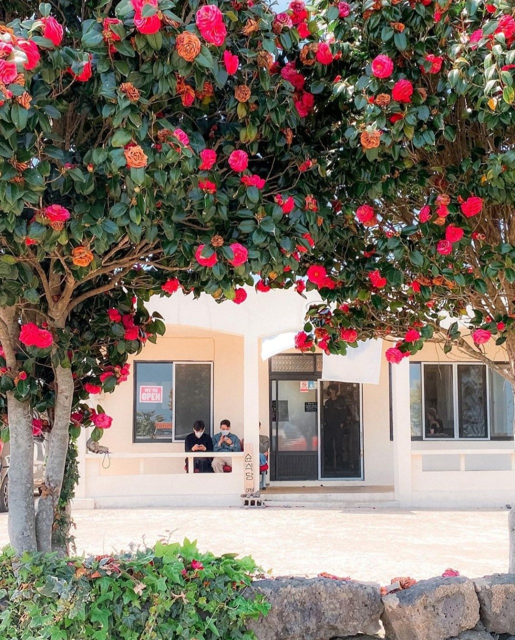 슌식당 이미지 6