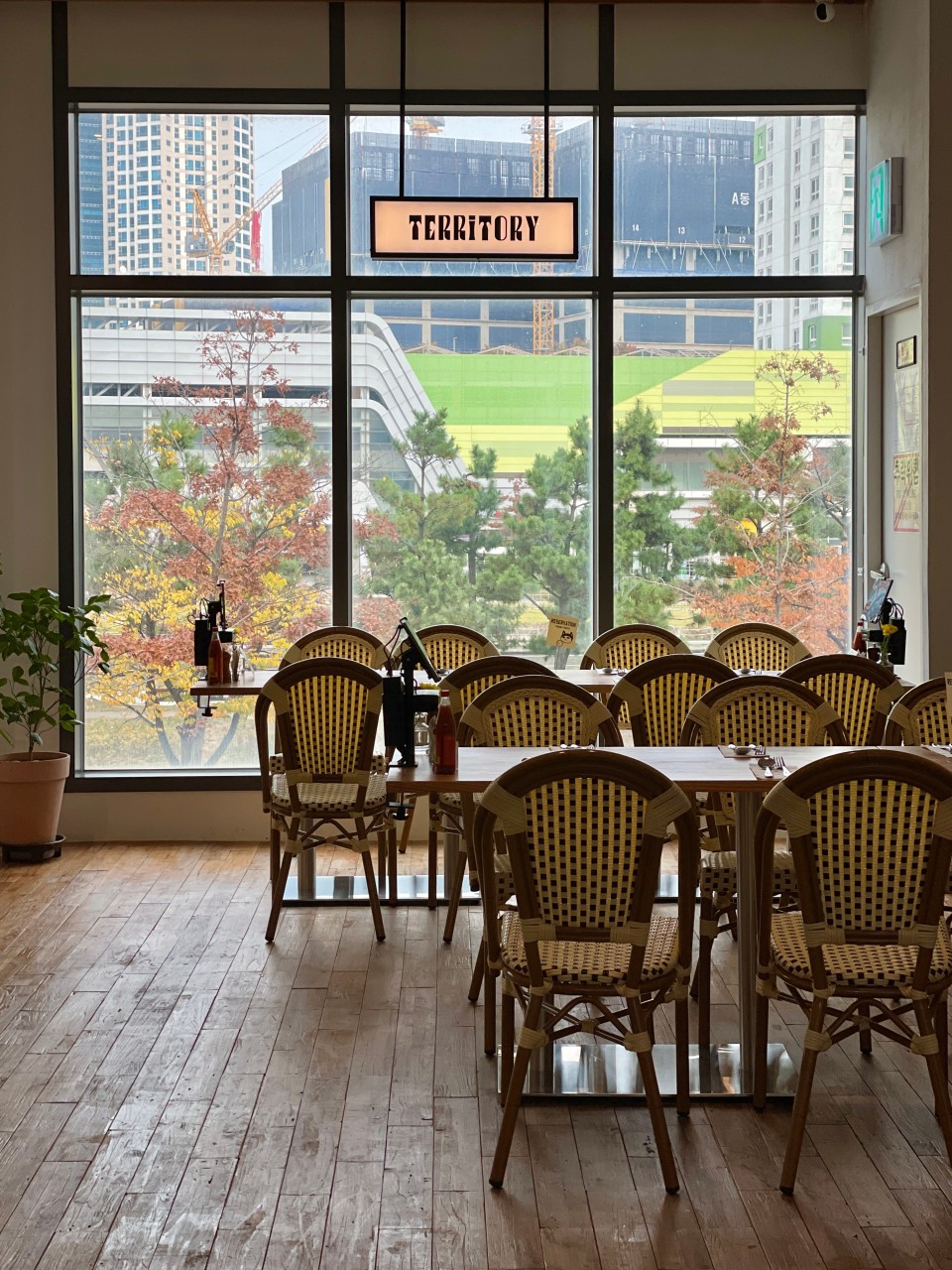 테리토리 이미지 5