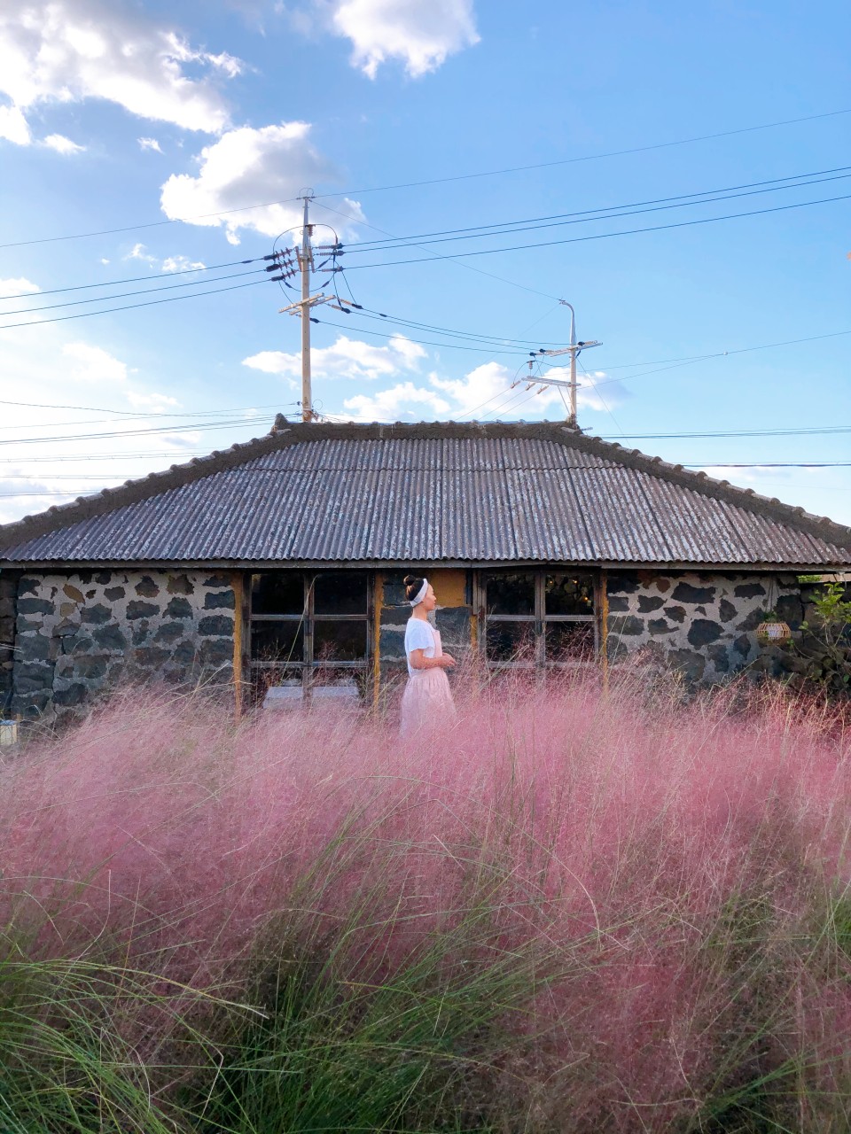 하도핑크 이미지 5