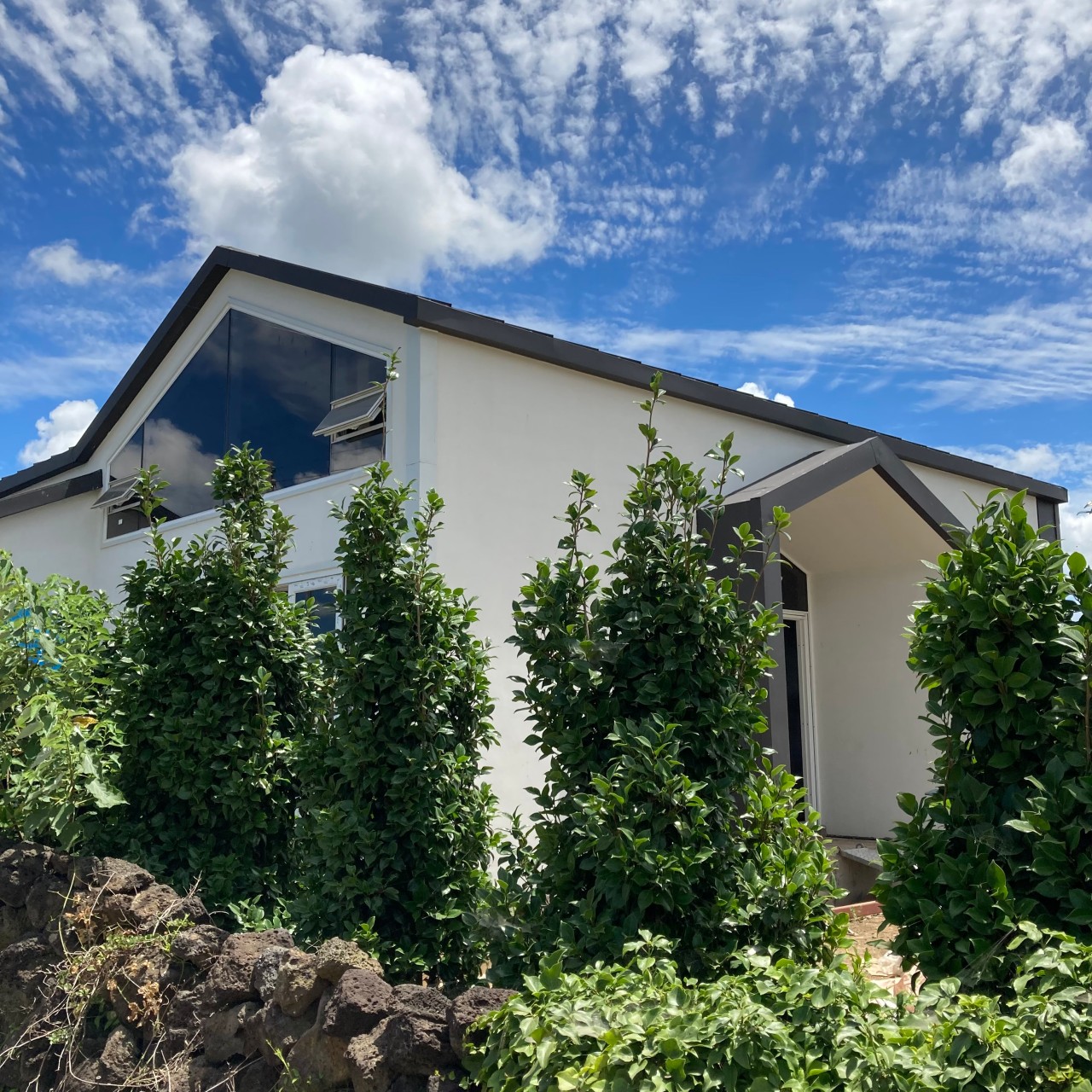 데미안 이미지 6