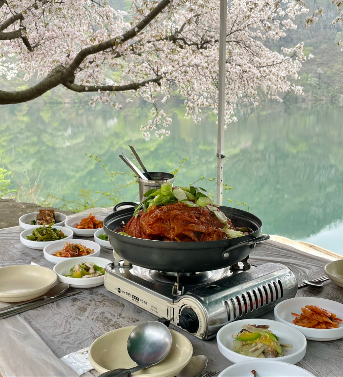 영숙백숙 이미지 2