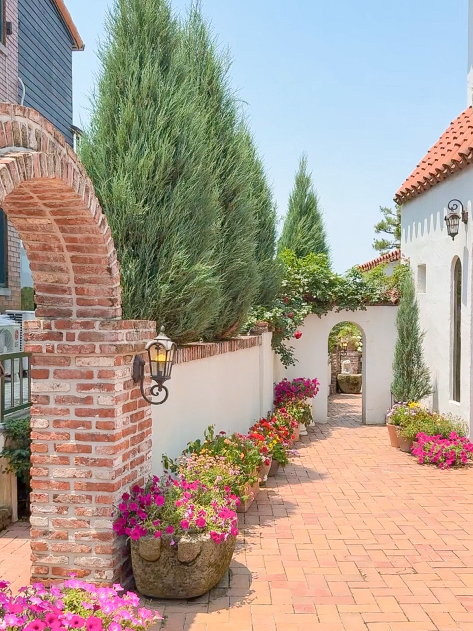 알바노 이미지 7