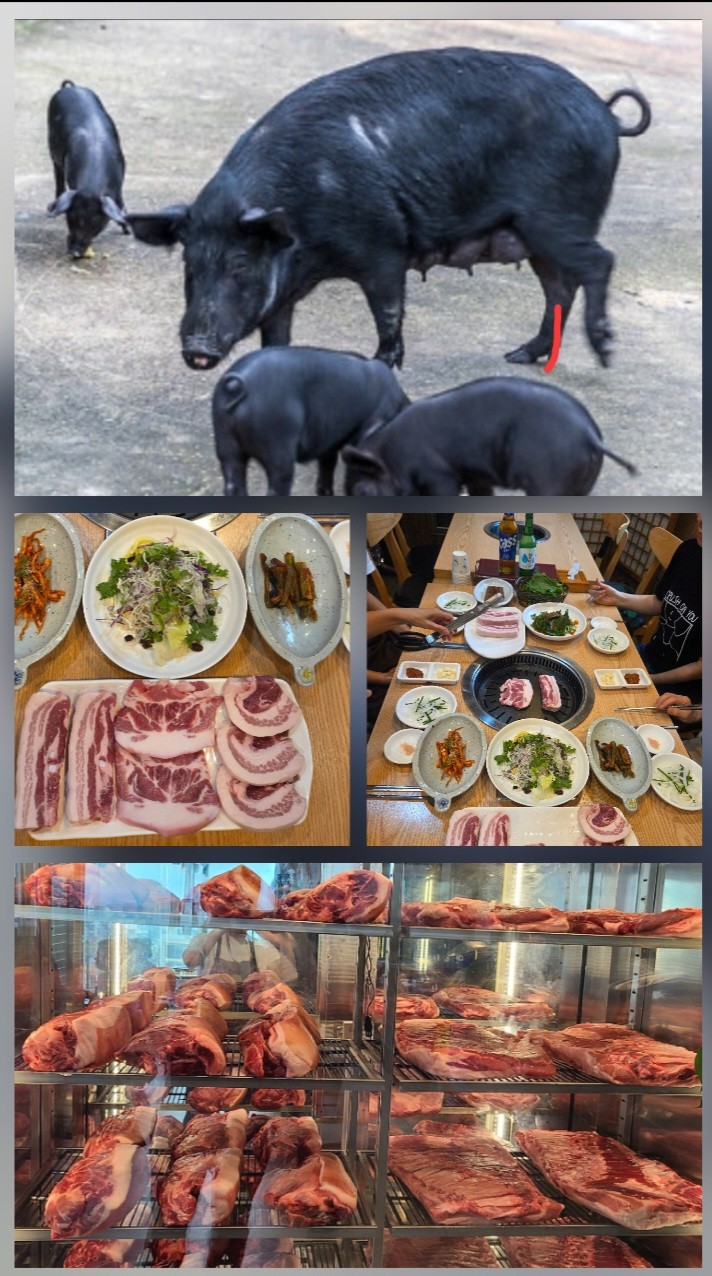 미담 무주 본점 이미지 3