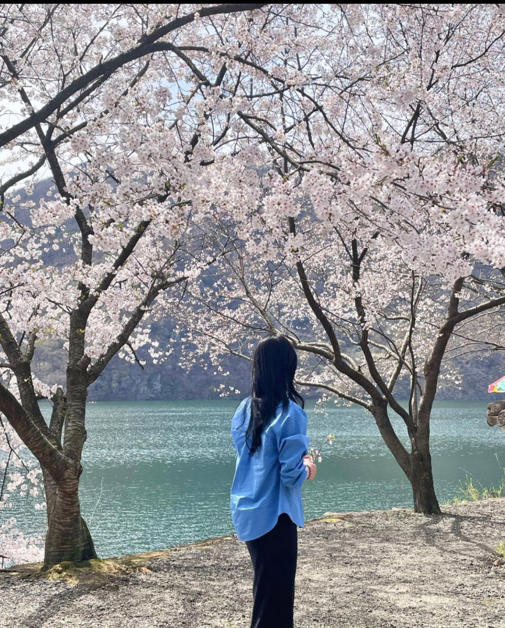 영숙백숙 이미지 7