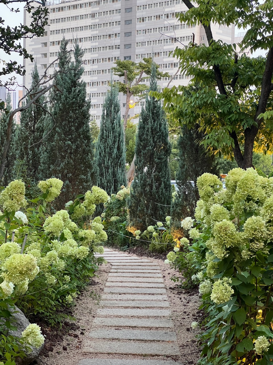 스테이564 이미지 6