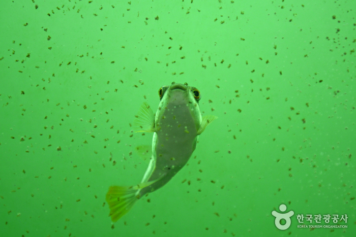 울진 국립해양과학관 이미지 11