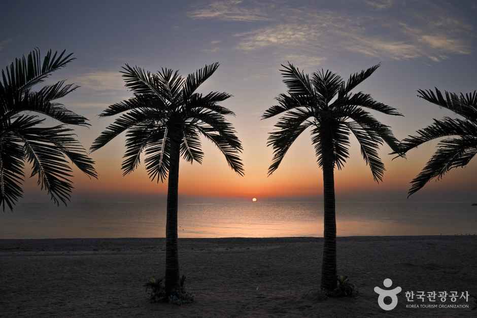 오류고아라해변 이미지 7