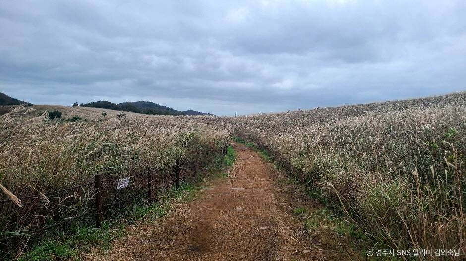 경주 무장산 이미지 5