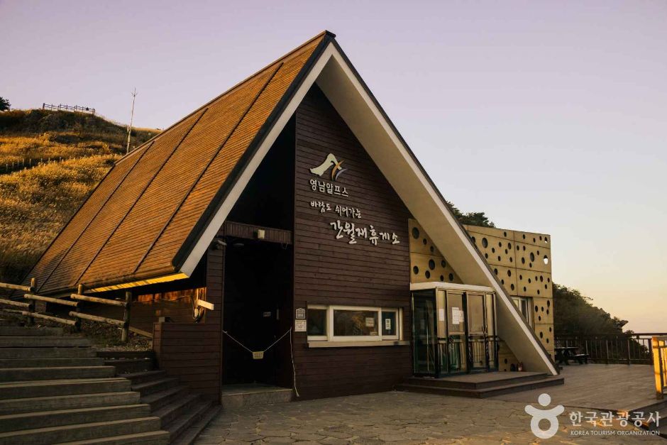 간월재 억새 이미지 4