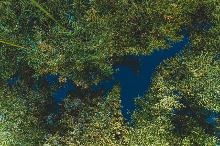 남가람별빛길 이미지 2