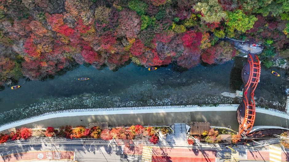 철암단풍군락지 이미지 1