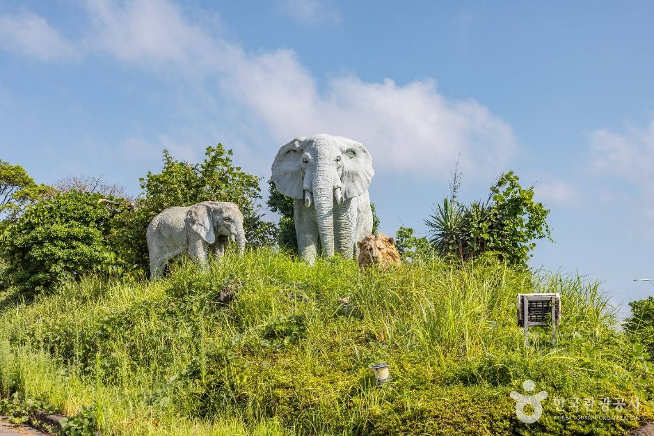 제주 아프리카 박물관 이미지 9