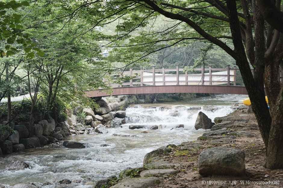 팔랑폭포 이미지 1