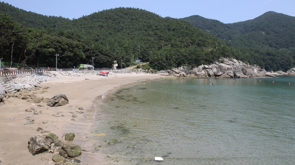 가사동백숲해변 이미지 3