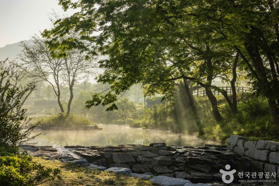 고창 운곡람사르습지 이미지 6