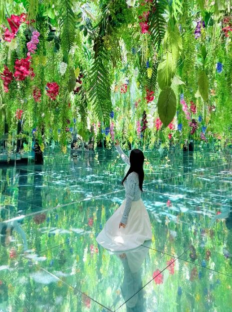 가평베고니아새정원 이미지 5