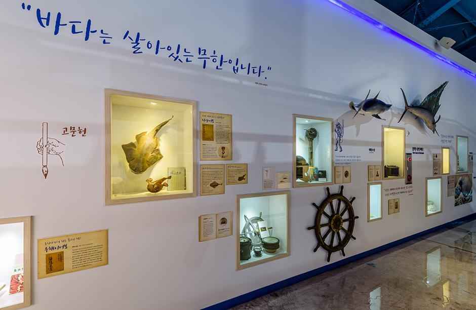 제주해양동물박물관 이미지 4