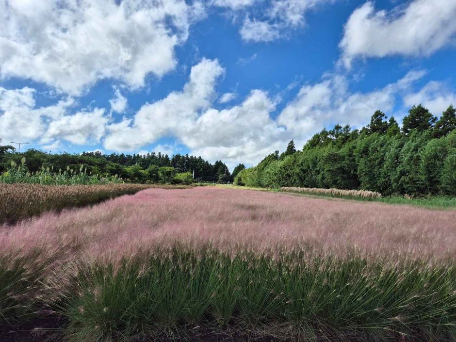 제주동화마을 이미지 5