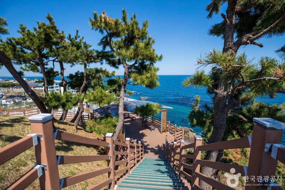 주문진 등대 이미지 4