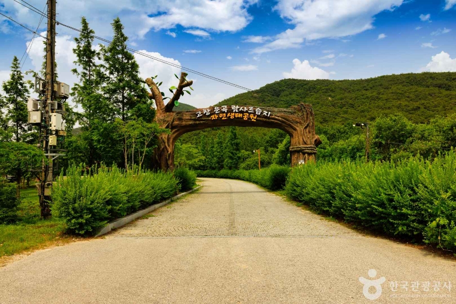 고창 운곡람사르습지 이미지 8