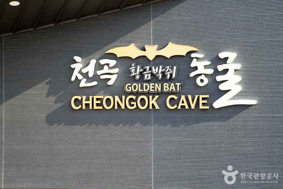 천곡천연동굴 자연학습체험공원 이미지 1