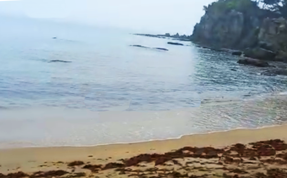 감추해변 이미지 1
