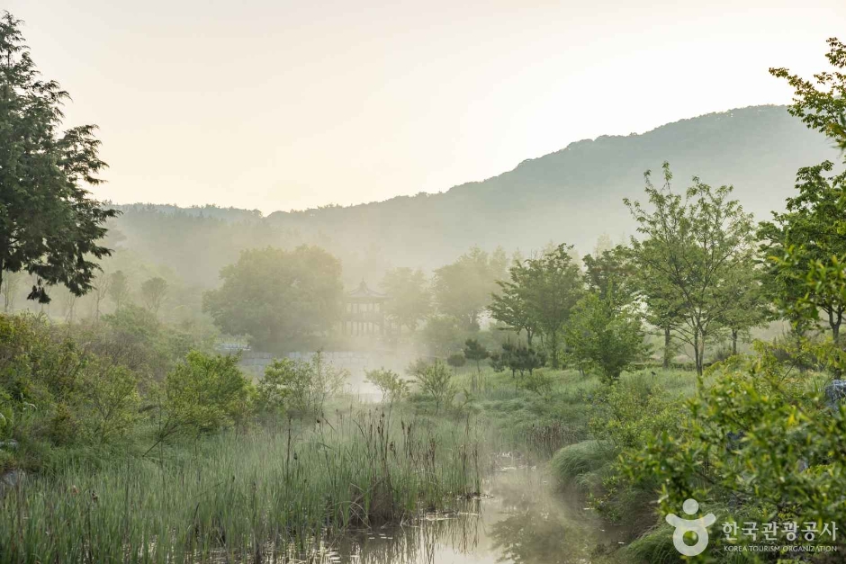고창 운곡람사르습지 이미지 9