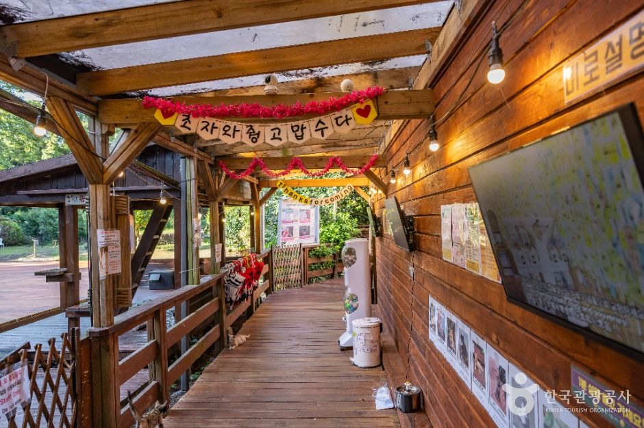 제주 김녕미로공원 이미지 6