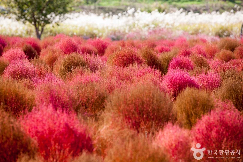 호국의병의숲 친수공원 이미지 3