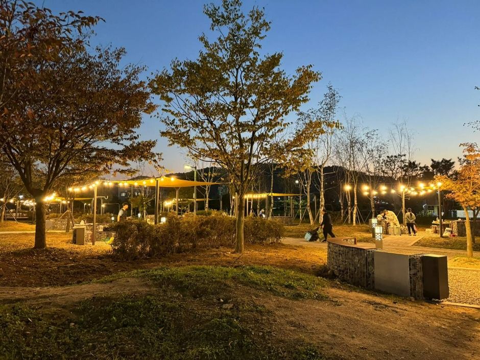 탄금호 피크닉공원 이미지 5