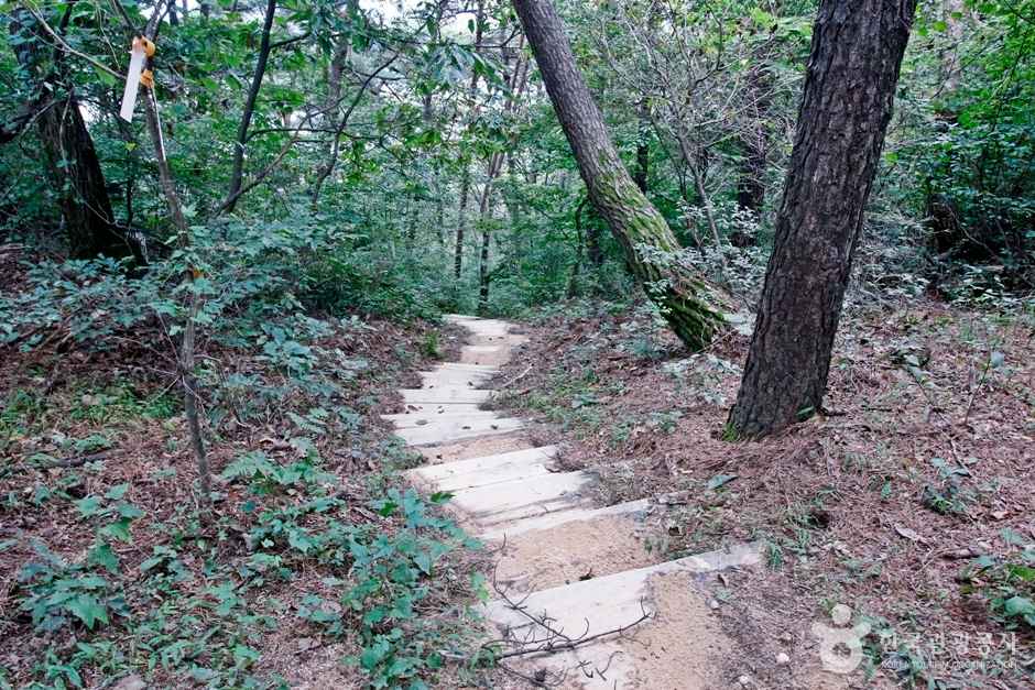 보문산 행복 숲 둘레길 이미지 2