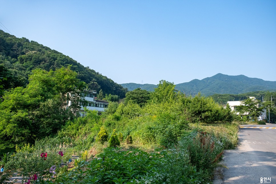고기리계곡 이미지 3