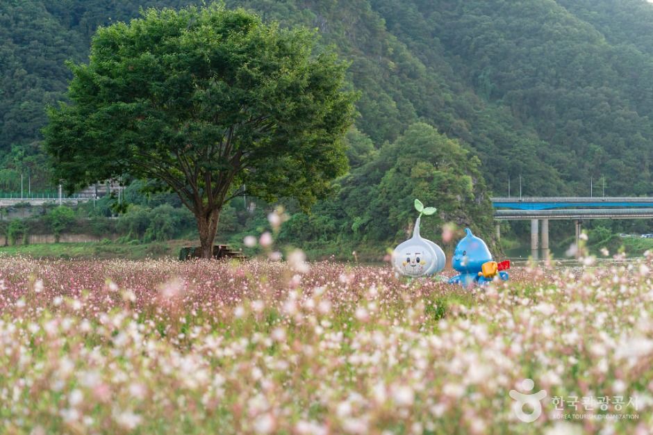 단양 도담정원 이미지 3