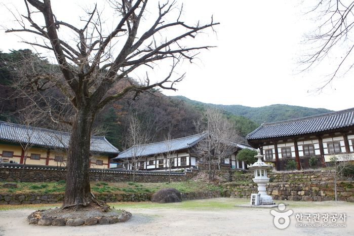 천은사(구례) 이미지 7