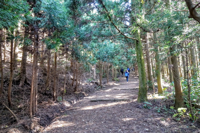 거문오름 [세계자연유산] 이미지 2