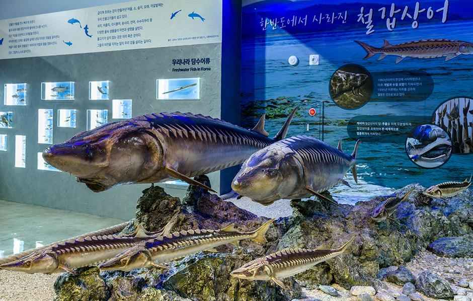 제주해양동물박물관 이미지 2