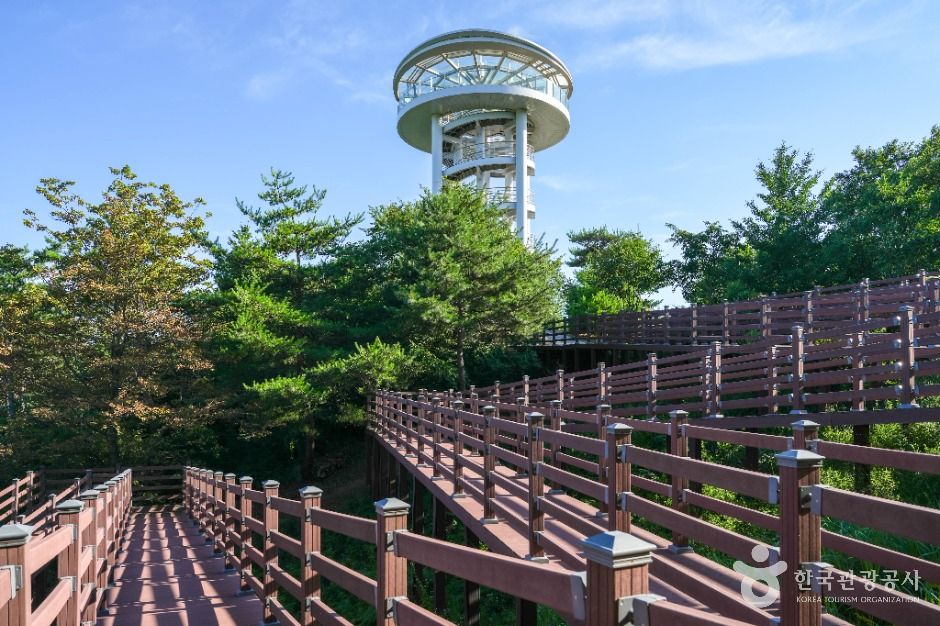 소백산 하늘자락공원 이미지 3