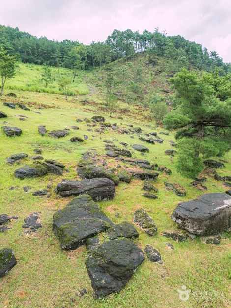 화순 고인돌군 유적 [유네스코 세계유산] 이미지 5