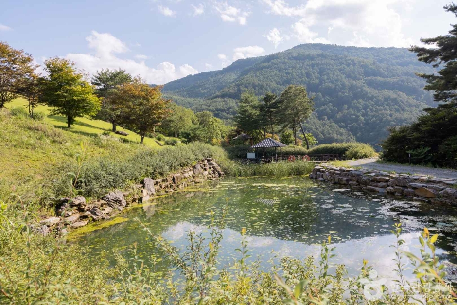 로미지안가든 이미지 5