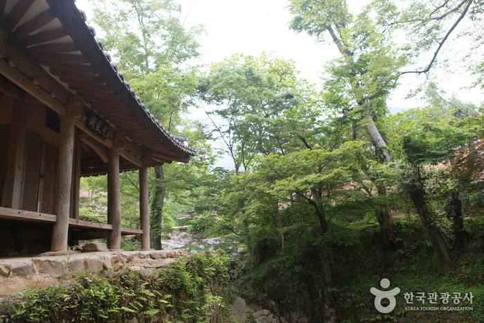 담양 소쇄원 이미지 6