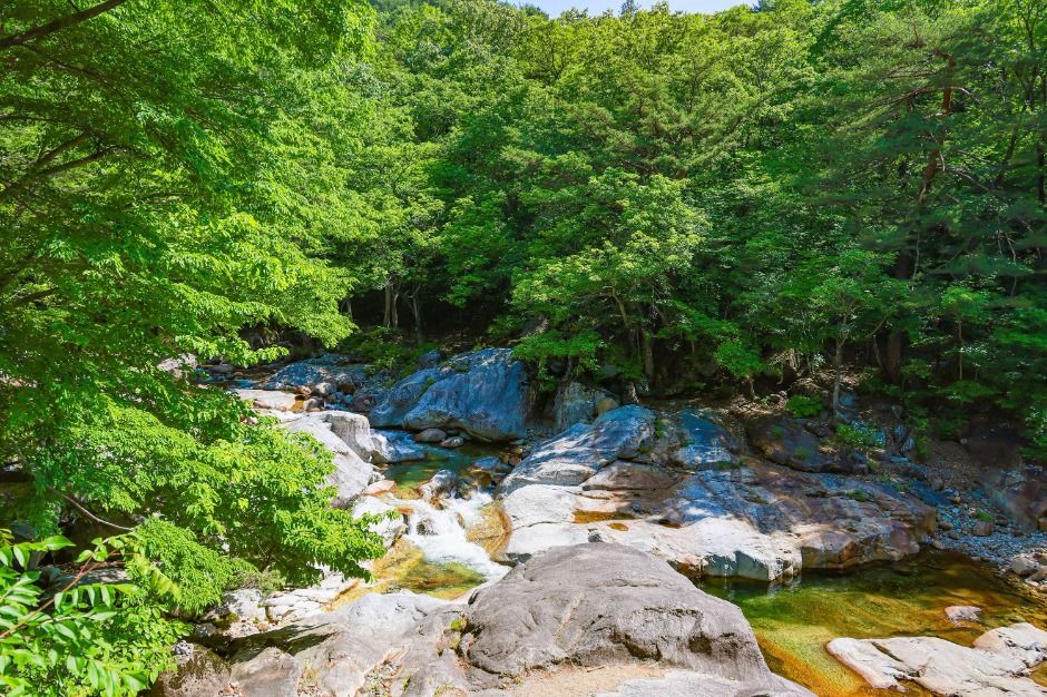 대원사계곡길 이미지 2