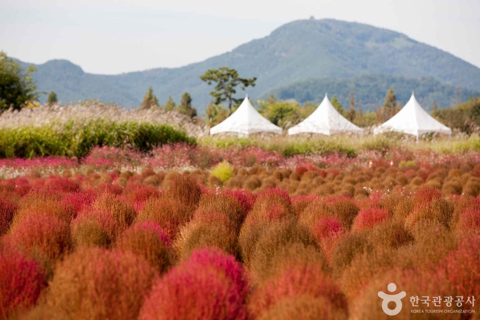 호국의병의숲 친수공원 이미지 1