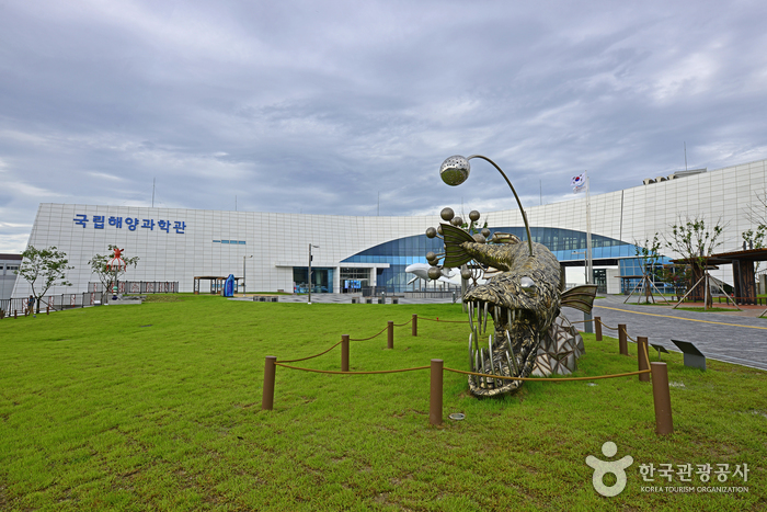 울진 국립해양과학관 이미지 5