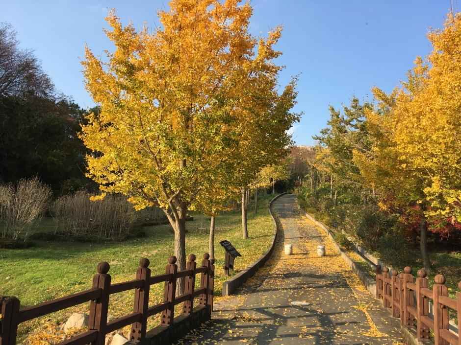 진해드림로드(내 마음을 연주하는 아름다운 꿈길) 이미지 1